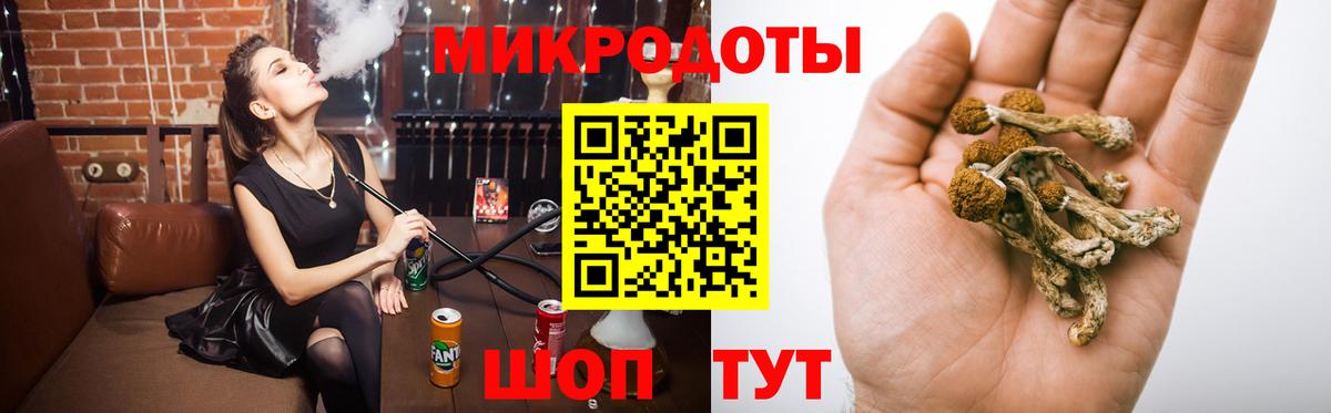 Галлюциногенные грибы GOLDEN TEACHER  Вход с VPN  купить закладку  Салехард 